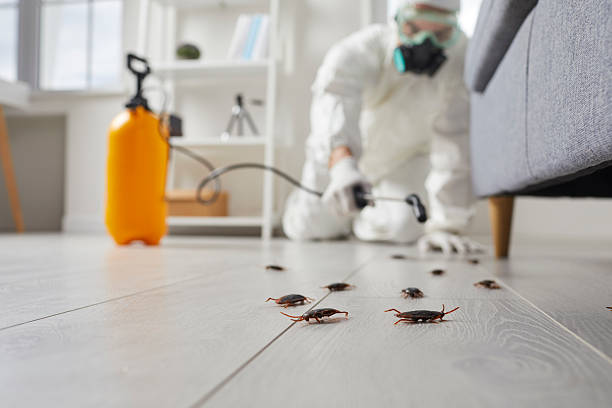 Commercial Kitchen Cockroach Control in Gibsonia